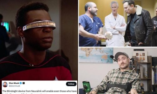 Elon Musk’s Neuralink brain chip gets FDA ‘breakthrough device’ status — and could help blind people see again
